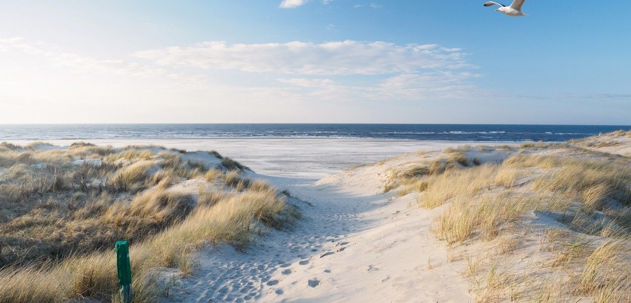 Bundesförderung stärkt interkulturelle Bildung an Schulen im ganzen (Foto: AdobeStock -  Philip - 425613695)